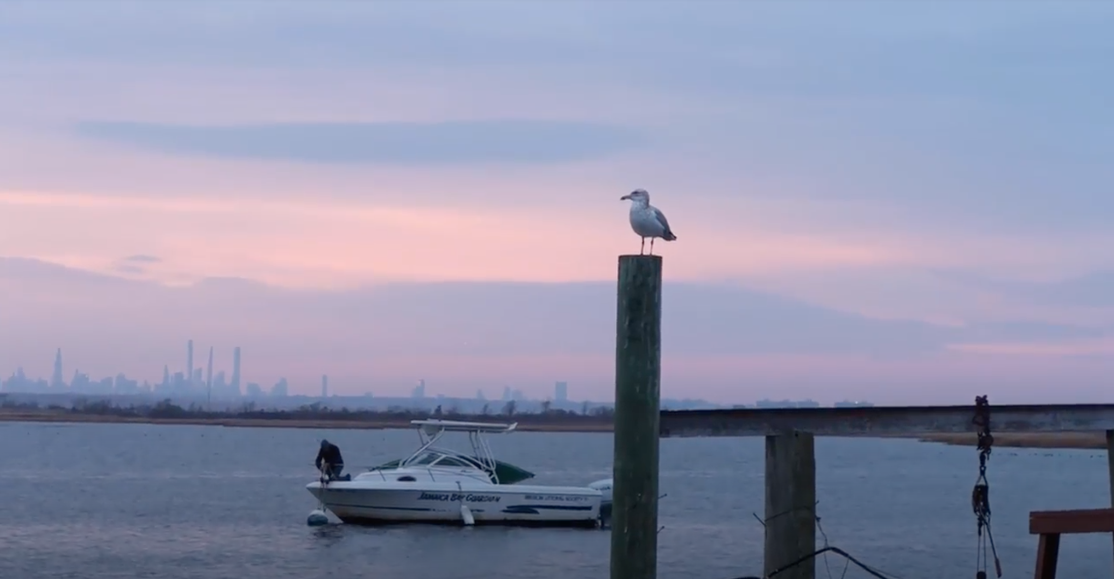 The view of Jamaica Bay with the Manhattan skyline in the background from the dock of Don Riepe's home in Broad Channel, Queens. Riepe is on his boat, the Oystercatcher, as a seagull looks on.
