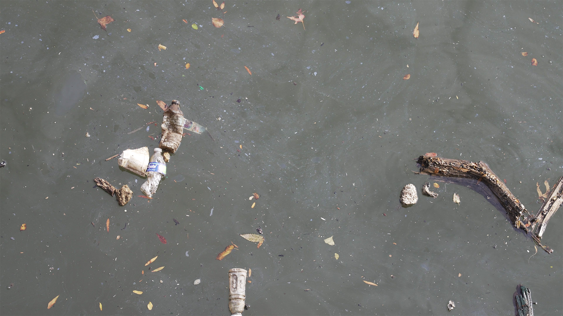 Although the EPA has cleaned up the Gowanus Canal, coal tar, garbages, and leaves can also be seen on the water.